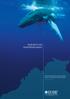 Australia s Last Great Whale Haven