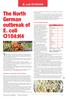 The North German outbreak of. E. coli O104:H4. Strain responsible identified. Development of haemolytic uraemic syndrome