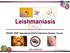 Leishmaniasis WRAIR- GEIS 'Operational Clinical Infectious Disease' Course