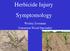 Herbicide Injury Symptomology. Wesley Everman Extension Weed Specialist