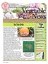 Vegetable News. Table of Contents. Vine Crops Update Charles Bornt ENYCHP