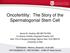 Oncofertility: The Story of the Spermatogonial Stem Cell
