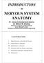 NERVOUS SYSTEM ANATOMY