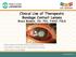 Clinical Use of Therapeutic Bandage Contact Lenses Bruce Baldwin, OD, PhD, FAAO, FSLS