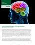 Brain-Centered Hazards: Risks & Remedies