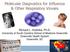 Molecular Diagnostics for Influenza & Other Respiratory Viruses