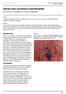ISPUB.COM. Salivary duct carcinoma of parotid gland. V Kinnera, R Nandyala, M Yootla, K Mandyam INTRODUCTION CASE REPORT