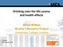 Drinking over the life-course and health effects. Annie Britton Alcohol Lifecourse Project University College London
