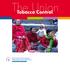The Union. Tobacco Control. International Union Against Tuberculosis and Lung Disease. Department of Tobacco Control