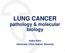 LUNG CANCER. pathology & molecular biology. Izidor Kern University Clinic Golnik, Slovenia