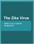 The Zika Virus. What Is Our Catholic Response?