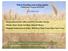 Wheat breeding and testing update Collaborators Program 10/11/2012