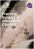 Practical Surgery & Ultrasound Courses. Progress Through Learning