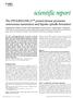 scientificreport The PITSLRE/CDK11 p58 protein kinase promotes centrosome maturation and bipolar spindle formation scientific report