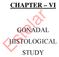 CHAPTER VI GONADAL HISTOLOGICAL STUDY. Estelar
