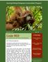 Code RED An e-newsletter from your friends in West Kalimantan