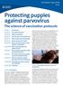 Protecting puppies against parvovirus