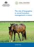 The role of kisspeptins in vernal transition management in mares
