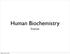 Human Biochemistry. Enzymes