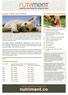 nutriment.co feed to thrive, feed raw benefits of raw feeding puppy & dog raw feeding feeding guidelines