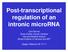 Post-transcriptional regulation of an intronic microrna