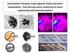 (Intra)cellular therapies using magnetic and/or plasmonic nanoparticles : from thermal cancer treatments to tissue engineering and biotransformations