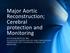 Major Aortic Reconstruction; Cerebral protection and Monitoring