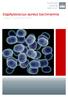 Staphylococcus aureus bacteraemia Cases in Denmark 2015