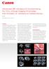 Advanced 3D Ultrasound Incorporating Fly Thru Virtual Imaging Promotes the Concept of Ultrasound Hysteroscopy
