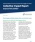Collective Impact Report