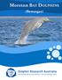 For more of Dolphin Research Australia s education resources, check out our website