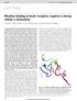 LETTERS. Nicotine binding to brain receptors requires a strong cation p interaction