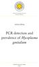 PCR detection and prevalence of Mycoplasma genitalium
