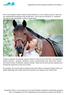 Supporting the Horse Immune System by Dr Kellon 1