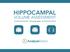 HIPPOCAMPAL VOLUME ASSESSMENT. Using Analyze