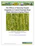 The Efficacy of Spraying Organic Fungicides to Control Fusarium Head Blight Infection in Spring Wheat