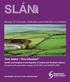 SLÁN. Survey of Lifestyle, Attitudes and Nutrition in Ireland. One Island One Lifestyle? DEPARTMENT OF HEALTH AND CHILDREN, 2009