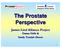 The Prostate Perspective. James Lind Alliance Project Emma Halls & Sandy Tyndale-Biscoe