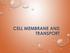 CELL MEMBRANE AND TRANSPORT