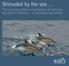 Shrouded by the sea. The animal welfare implications of cetacean bycatch in fisheries a summary document