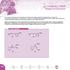 Chemistry - Chiral F.78. Reagents and Intermediates. Chiral Examples