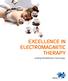 Electromagnetic. Leading Rehabilitation Technology
