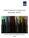 Alcohol Treatment in Cheshire and Merseyside, 2010/11