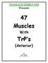 MASSAGENERD.COM Presents. 47 Muscles. With. TrP s. (Anterior) By Ryan Hoyme CMT, NCTMB, HST