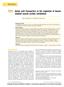 Amino acid transporters in the regulation of human skeletal muscle protein metabolism