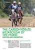In horses like in other mammals, glycaemia THE CARBOHYDRATE METABOLISM OF THE HORSE FUNCTION AND DYSFUNCTION