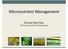 Micronutrient Management. Dorivar Ruiz Diaz Soil Fertility and Nutrient Management