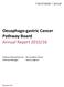 Oesophago-gastric Cancer Pathway Board Annual Report 2015/16