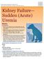 Kidney Failure Sudden (Acute) Uremia