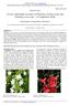 In Vitro Antioxidant Activities of Plumbago zeylanica Linn. and Plumbago rosea Linn. : A Comparative Study